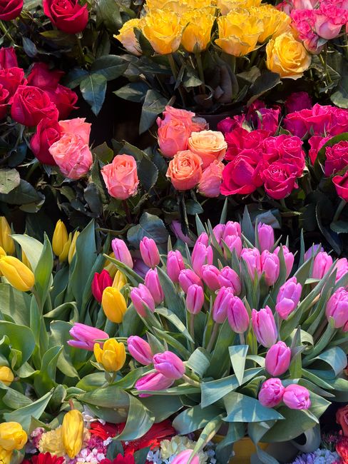A vibrant floral display featuring a variety of flowers including pink and yellow tulips with closed buds, bright pink roses, and yellow roses. The flowers are arranged closely together, some in full 